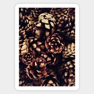 Winter Pinecones Sticker